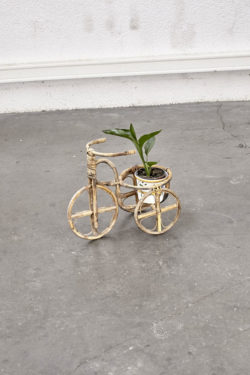 porte plante fauteuil rotin rattan chair Vaisselier vintage vaisselier noir Secrétaire vintage chiffonier vintage coffre vintage commode vintage enfilade vintage commode pieds compas lampadaire vintage chaise tapiovaara chaise bertoia verner pantone ercol chaise ercol mobilier scandinave